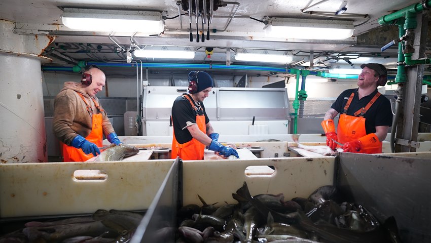 Czerwiec na kanale Polsat Viasat Explore